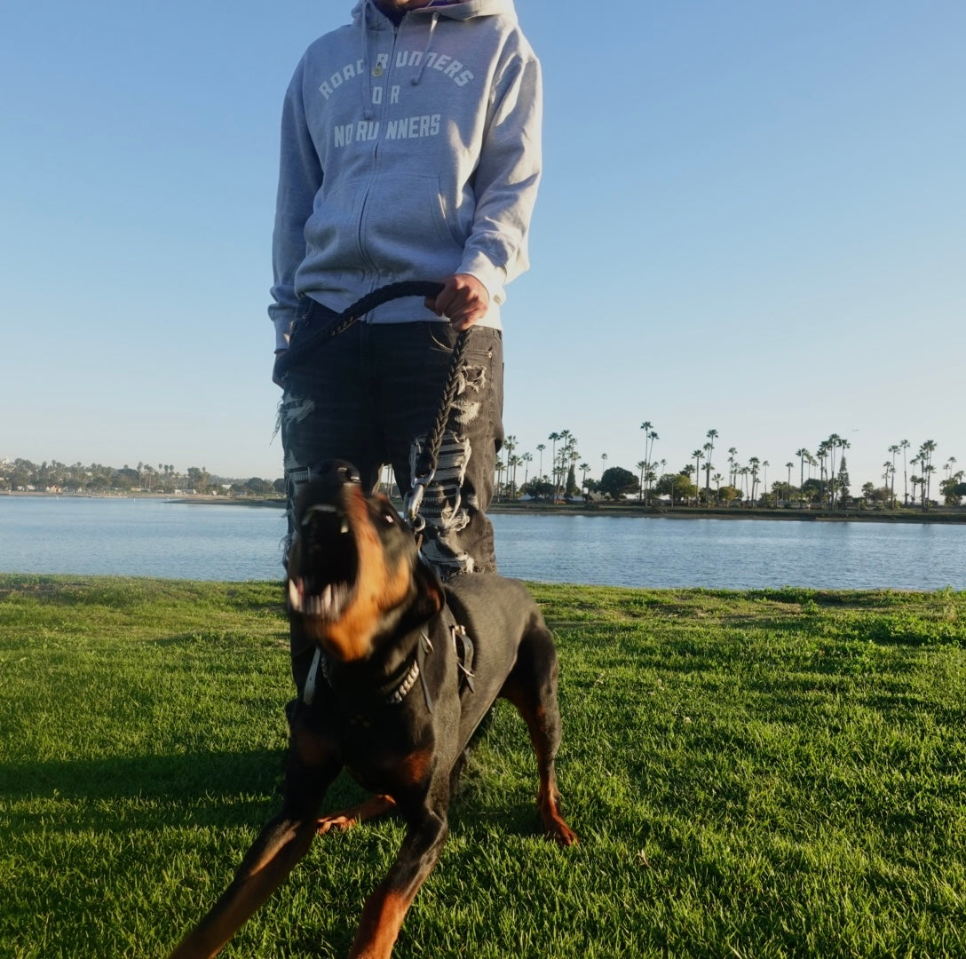 ROAD RUNNERS OR NO RUNNERS